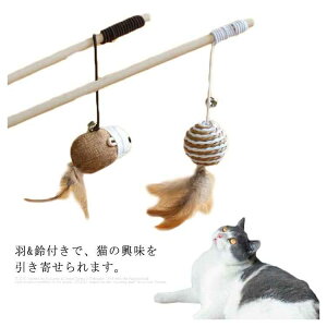 L炵 3_Zbg L VRf ؐ H t lY~ʂ   l ˂炵  XgX ^s  ނ qL ˂ lR Lpi 킢