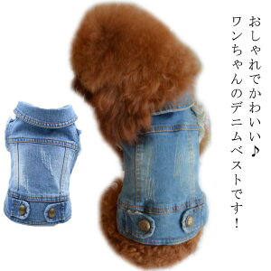 WPbg   ̕  ~ xXg  O{^ g fjxXg ^ W[Y  H  H~ H ~ H ~ t ^ pxXg