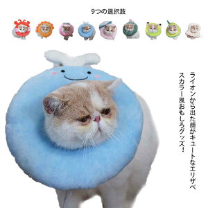 􂦂zGUxXJ[ GUxXJ[  ybgp piփ\tg p  PK p r r h~  lR  L ybg _炩 Lp p  RX