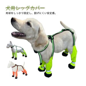 TXy_[ pu[c pV[Y MXu[c h ~ veN^[  h~ h~ rߖh~ ˃e[v Op UV[Y AEghApC o