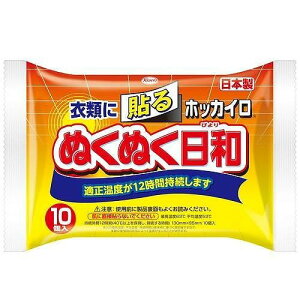 興和 ホッカイロ ぬくぬく日和 貼るタイプ 10個