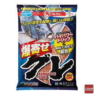 }L[ 񂹃O 2kg O Wi Ta