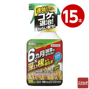 �Z�F���w���| ������ ���ގ����K�����O�V�����[1000ml ×15�{