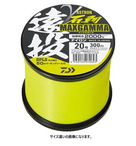 _C(DAIWA) AXgΑ≓ }bNXK} 300m 22 tbVCG[