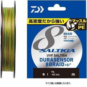 _C(DAIWA) UVF \eBKfZT[×8+Si2 300m 0.6