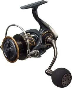 _C(DAIWA) XsjO[ JfBA SW 5000D-CXH 22Nf