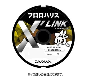 �_�C��(DAIWA) �t�����n���X X LINK 40m 5�� �i�`�������N���A