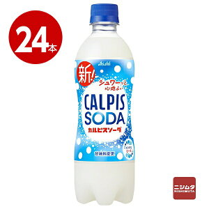 �A�T�q�����@�J���s�X�\�[�_�@500ml×24�{�@�y�b�g�{�g��