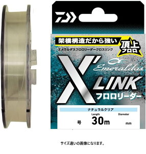 DAIWA(ダイワ) エメラルダス フロロリーダー X’LINK 30m 1.75号 ナチュラル