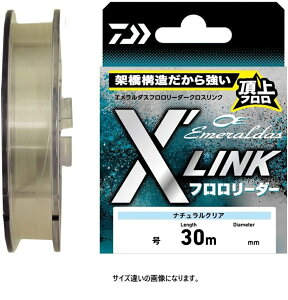 DAIWA(_C) G_X t[_[ XfLINK 30m 2.5 i`