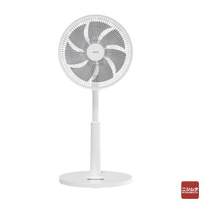 RP PDΉDCrO@ 30cm YLXP-AJD30 DC DC[^[ @