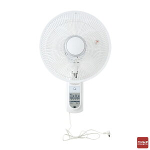 C's 30cm R Ǌ|@ CSBF-W3025R Ǌ| @