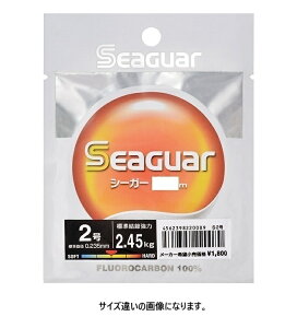 Nn V[K[ Seaguar 10m 7