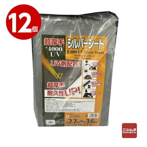 yzGXGXYƁ@Vo[V[g@4000@@UVܔz@12yz