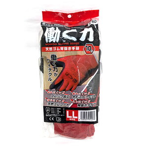 R[RXM VRSw Z-89 LL  R Ǝ