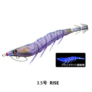 DUEL ( fG ) GM C[W[Q LXg 킹 3.5 RISE