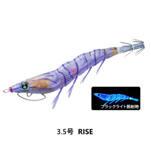 DUEL ( fG ) GM C[W[Q LXg 킹 g 3.5 RISE