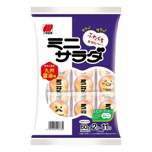 OKف@~jT_Bݖ@60g(2×11)@ׂ