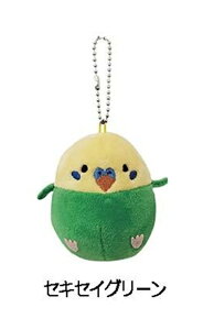 BESTEVER (xXgGo[) GbO {[`F[ ʂ ZLZCCR O[