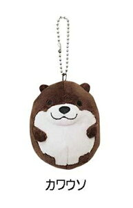 BESTEVER (xXgGo[) GbO {[`F[ ʂ JE\