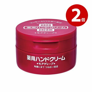 s2Zbgty򕔊Oizt@CgDfC@AfB[v@pnhN[@W[@100g