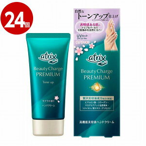 ԉ@AgbNX@r[eB[`[Wv~A@g[Abv@nhN[@TN̍@60g×24