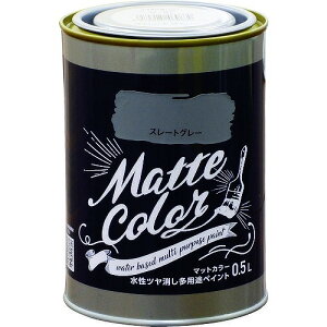 ATqy pr yCg}bgJ[ X[gO[ 0.5L