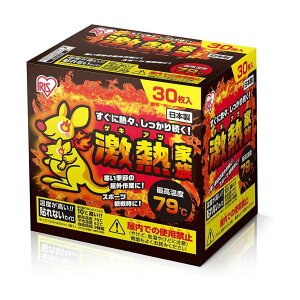 ACXI[}@JC@MƑ@\ȂM[@30