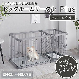 yeBI p gĈo hbO[T[NPlus O[ M[