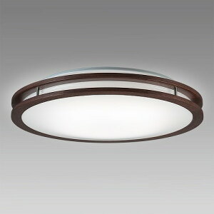 ���� NLEH14R01B�|DLDLED �V�[�����O���C�g