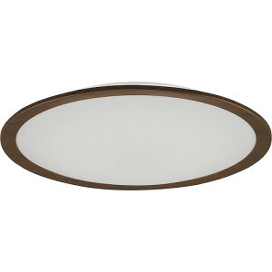�A�C���X�I�[���} CEA6DL-5.0QWFM LED �V�[�����O���C�g �E�b�h�t���[��