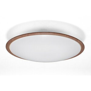 �A�C���X�I�[���} CEA14DL-5�D0QWFM LED �V�[�����O���C�g �E�b�h�t���[��