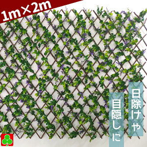 Lk@O[tFX@@DLB07-42-47@1×2M@[t@@VF[h@ډB@CeAɂ
