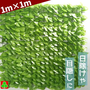 O[tFX@DLB01-06 1×1M@F1m×1m@[t@@VF[h@ډB@CeAɂ