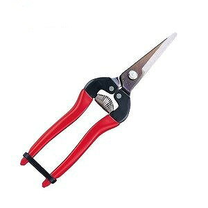 �E�����@300L�@300L�|BP