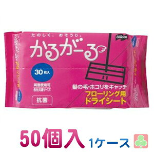 RYƁ@邪[@t[OphCV[g30P@1P[X50