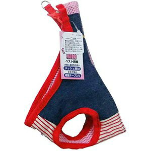 A[Xybg@nh[@fjqbR[xXgց@2S@