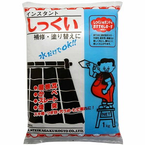 家庭化学工業 インスタントしっくい1Kg