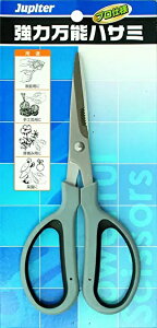 ЎR Ws^[(Jupiter) ͖\nT~ 400630