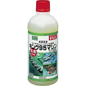 LO| JCKV n_j 쏜 }V LO95}V 500ml