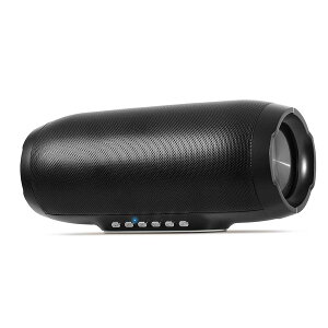 LITHON (���C�\��) Audinsound ���C�����X�X�e���I�X�s�[�J�[SP-04 KABS-015B