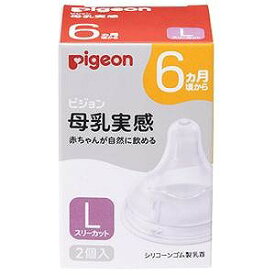 母乳実感乳首　6ヵ月／L　2個入　22