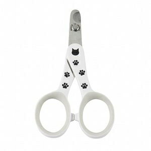 L@XgXȂXpbƐ؂Lpܐ؂@{