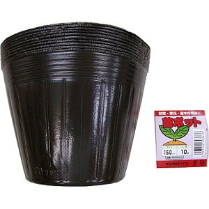 nӑ c|bg 10 15.0cm