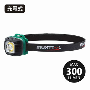 MT [dwbhCg 300lm@MHL-F301R