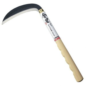 �L���{�V(Kinboshi) �|�t���n������ �������Ǖ��V���[�Y 160033