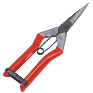 L{V(Kinboshi) 啟  2286