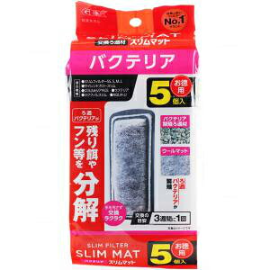 GEX@WFbNX@oNeAX}bg@5