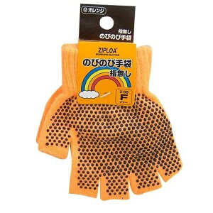 R[RXM ̂т̂ю܁iw؂^CvjZ-65 IW F