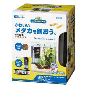 @gANAE@_J@{6_Zbg@LA-01